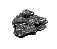 Cichlid Rock B
