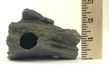 Cichlid Rock B - Image 4