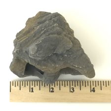 Cichlid Rock B - Image 5