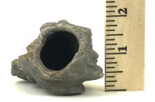 Cichlid Rock E - Image 3