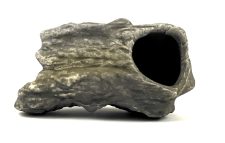 Cichlid Rock E - Image 4