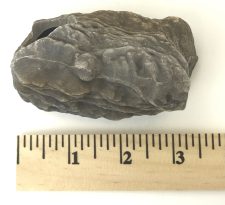 Cichlid Rock E - Image 6