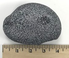 Cichlid Stone - Medium - Image 7