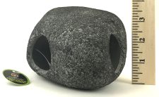 Cichlid Stone - XL - Image 4
