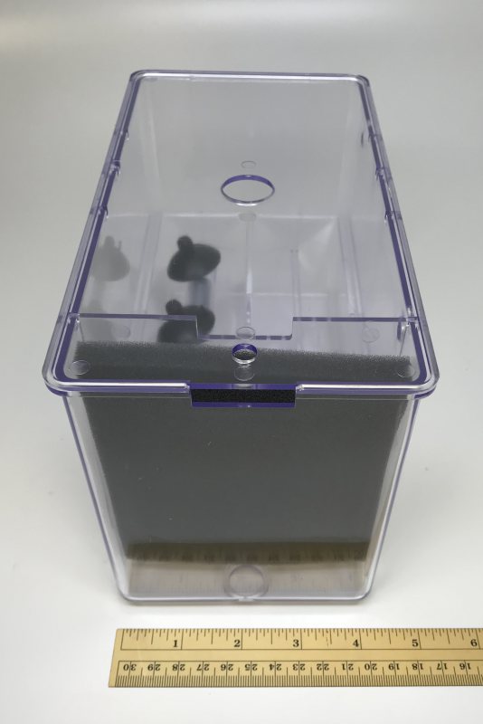 External Breeder Box Aquarium Connection