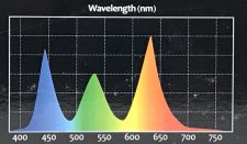 U-Series LED 18" - Red Output - Image 2