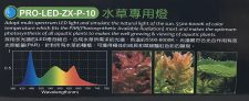ZX-Series LED 12" - Plant * - Image 4
