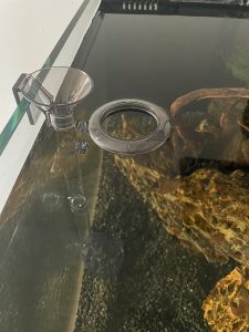Full Function Feeder Set with feeding Ring - Image 3