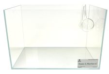 Peony Glass Outflow Large 13 mm or 1/2" (75 mm or 2.95" Cup) - Image 2