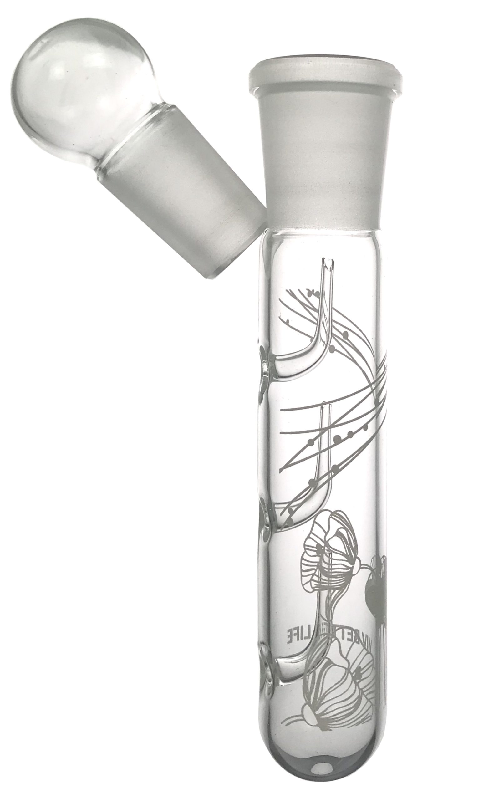 Planaria Trap Glass 140 mm - Image 2