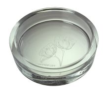 Shrimp & Bottom Feeding Dish Glass 70 mm - Image 4