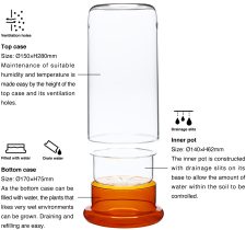 VIV Nano Terrarium 170 x 300mm with Clear base . 6.69 x 11.81" Glass - Image 2